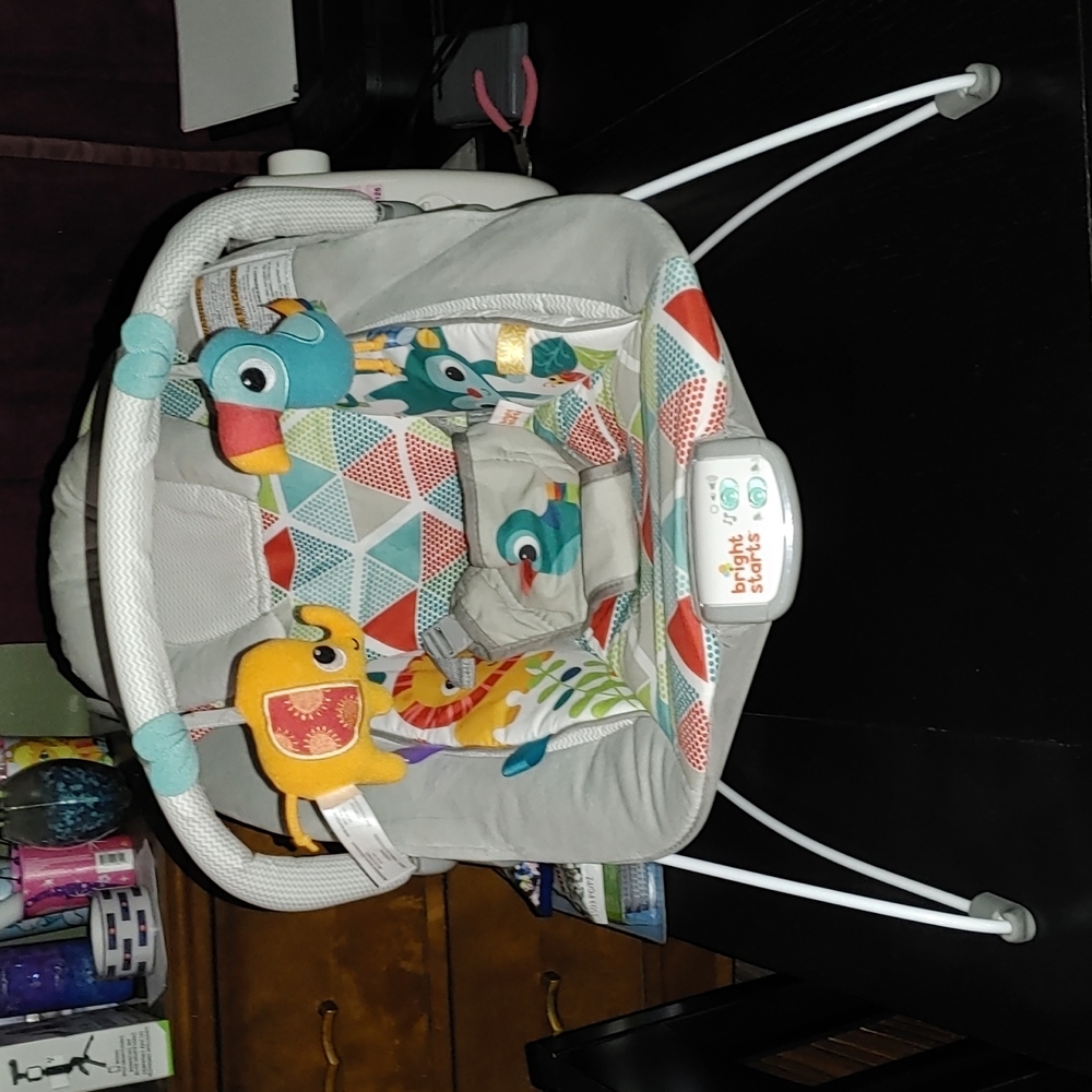 Bright Starts Bouncer Chair